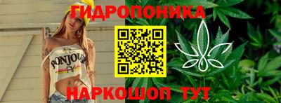 мдпв Конаково